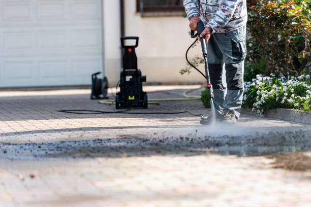 Best Residential Pressure Washing Services  in Fremont, MI