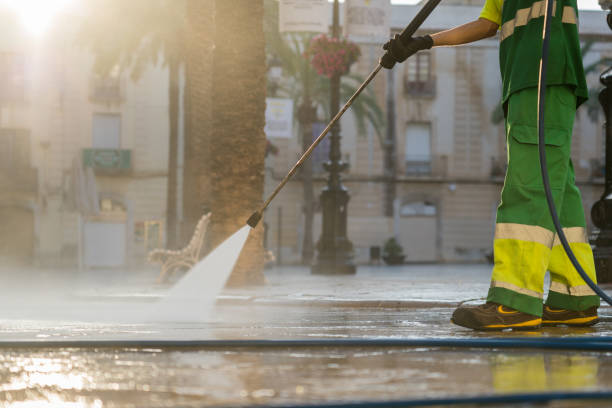 Best Power Washing Near Me  in Fremont, MI